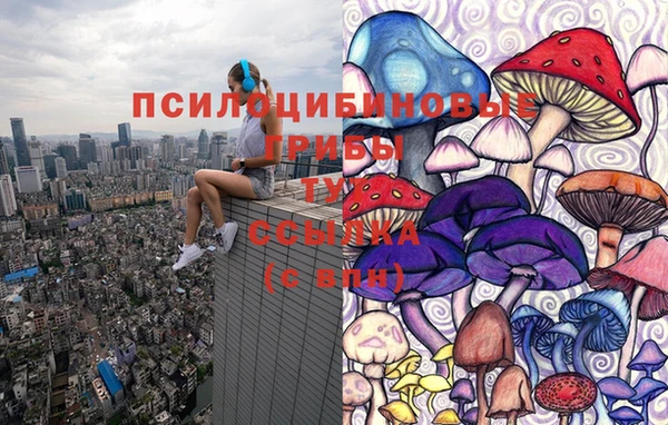 соль курить ск Алзамай