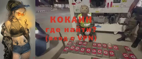 СК Алексин