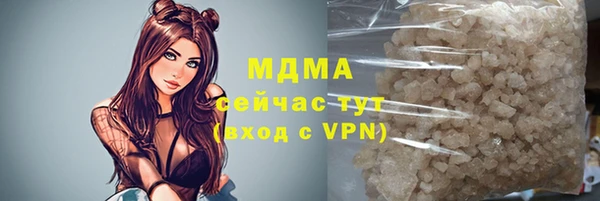 СК Алексин