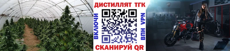 купить   blacksprut ТОР  Дистиллят ТГК вейп с тгк  Славск 