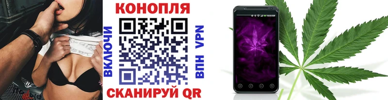 где найти наркотики  Славск  Каннабис MAZAR 